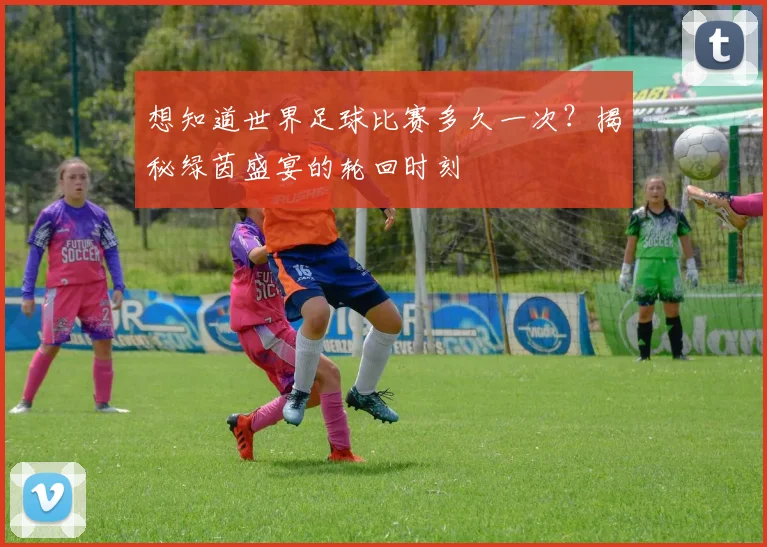想知道世界足球比赛多久一次?揭秘绿茵盛宴的轮回时刻