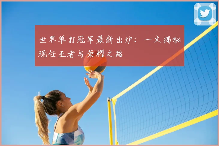 世界单打冠军最新出炉:一文揭秘现任王者与荣耀之路